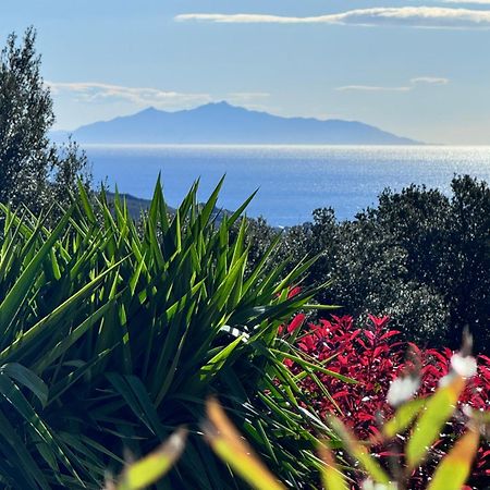 Gite Independant Dans Villa Entre Mer Et Maquis Sisco Zewnętrze zdjęcie