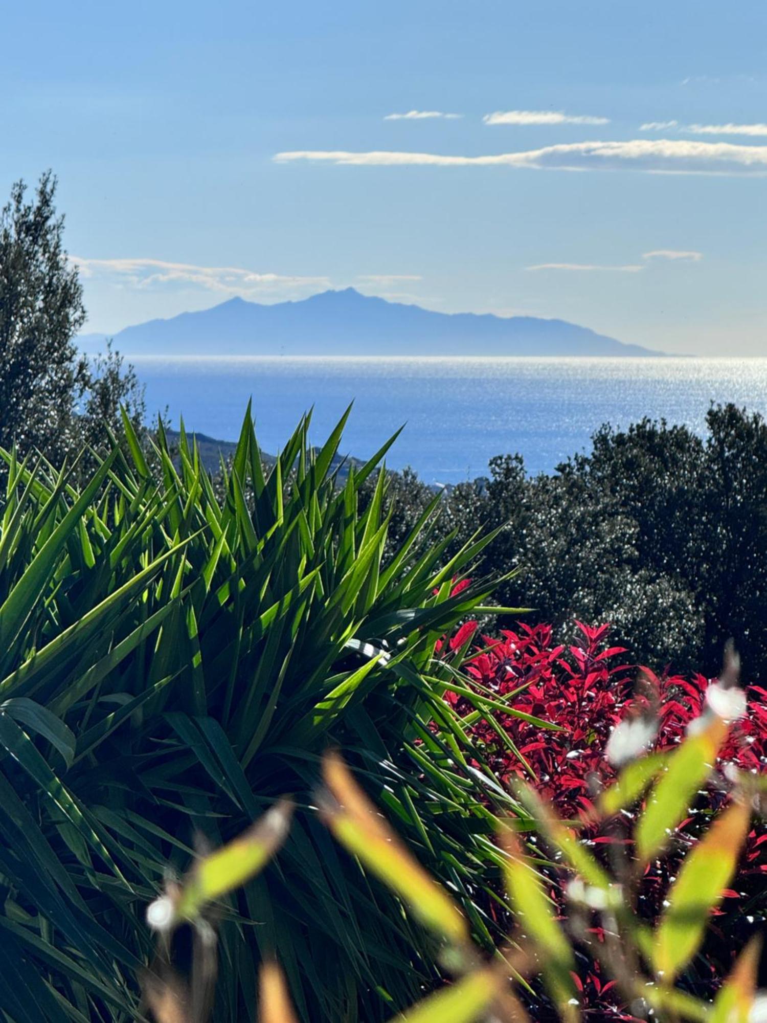 Gite Independant Dans Villa Entre Mer Et Maquis Sisco Zewnętrze zdjęcie